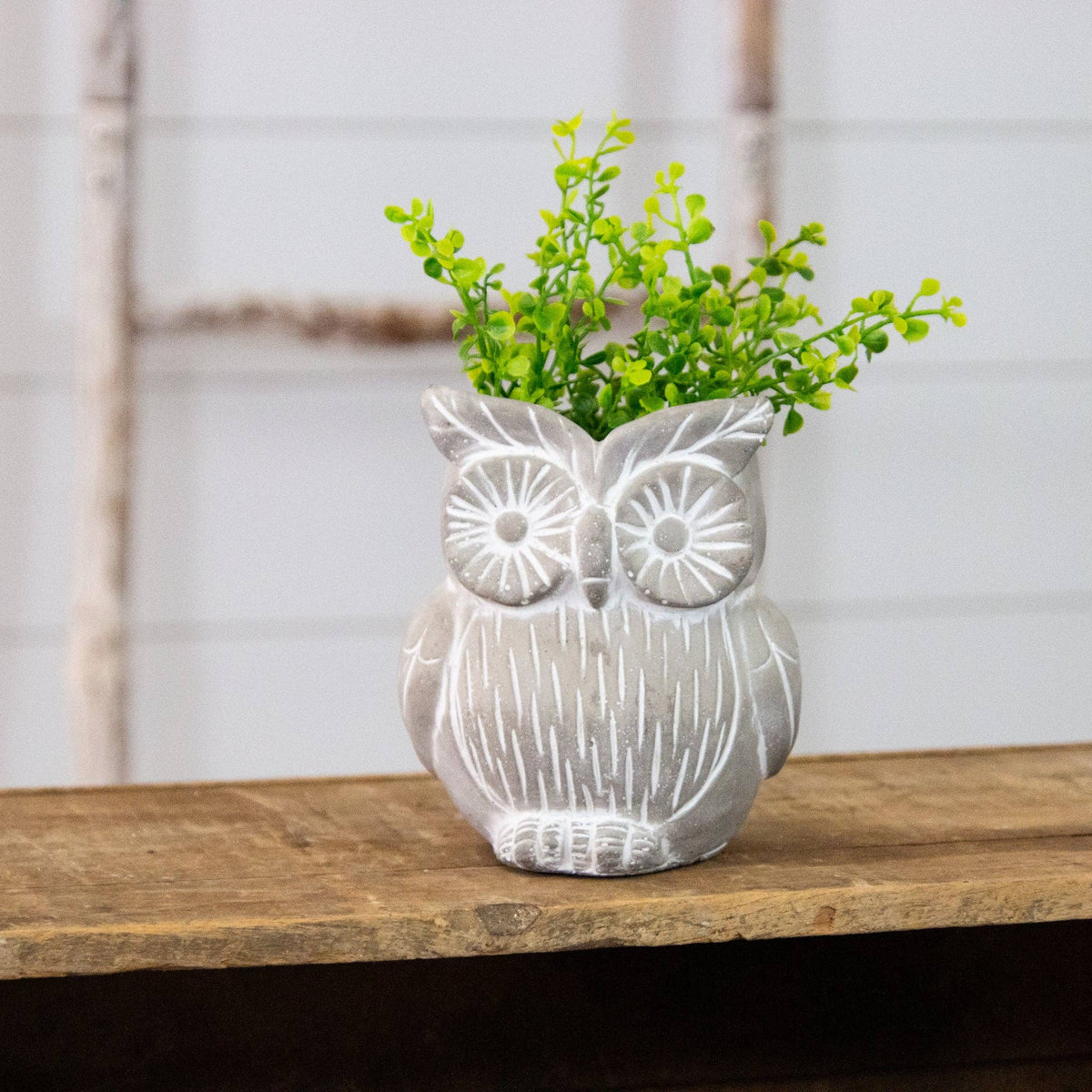 Cement Owl Planter