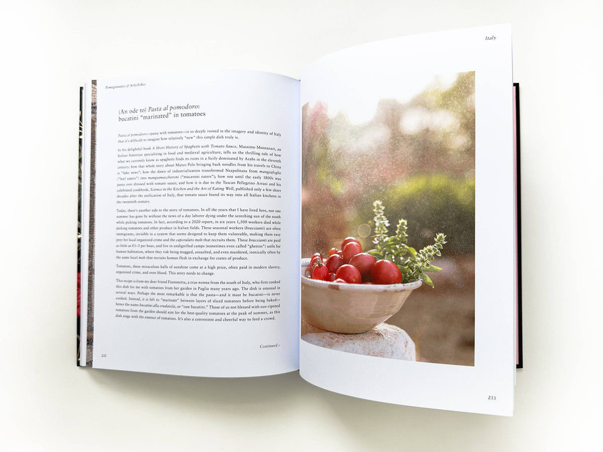 Pomegranates and Artichokes by Saghar Setareh