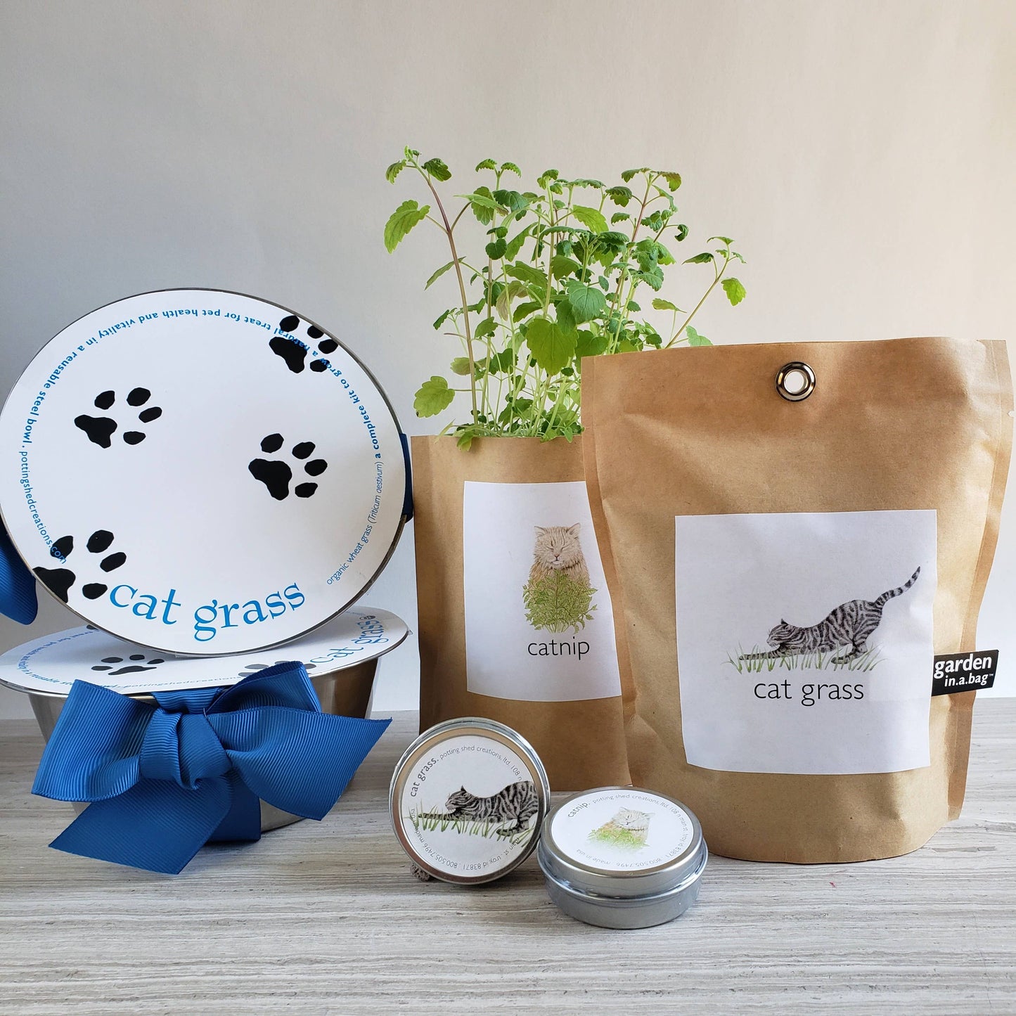 Garden in a Bag | Cat Grass | Spring Pet Treat Gift