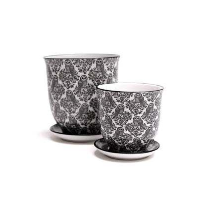Liberte  Indoor plant pots with drainage 3 & 5 inch planter