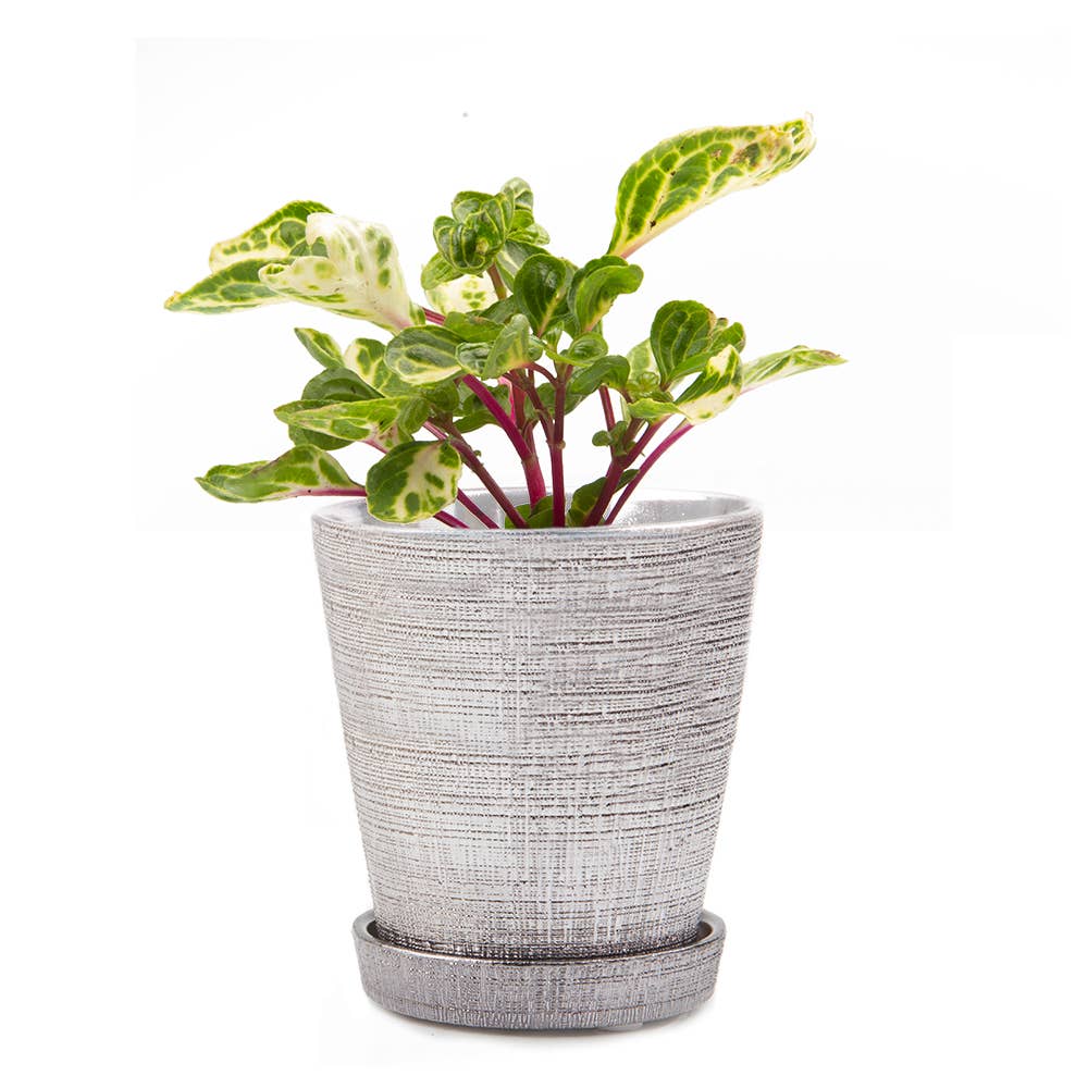 Mick Planter Pots With Drainage Holes Bulk SALE SALE