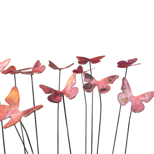 Small Natural Copper Butterflies
