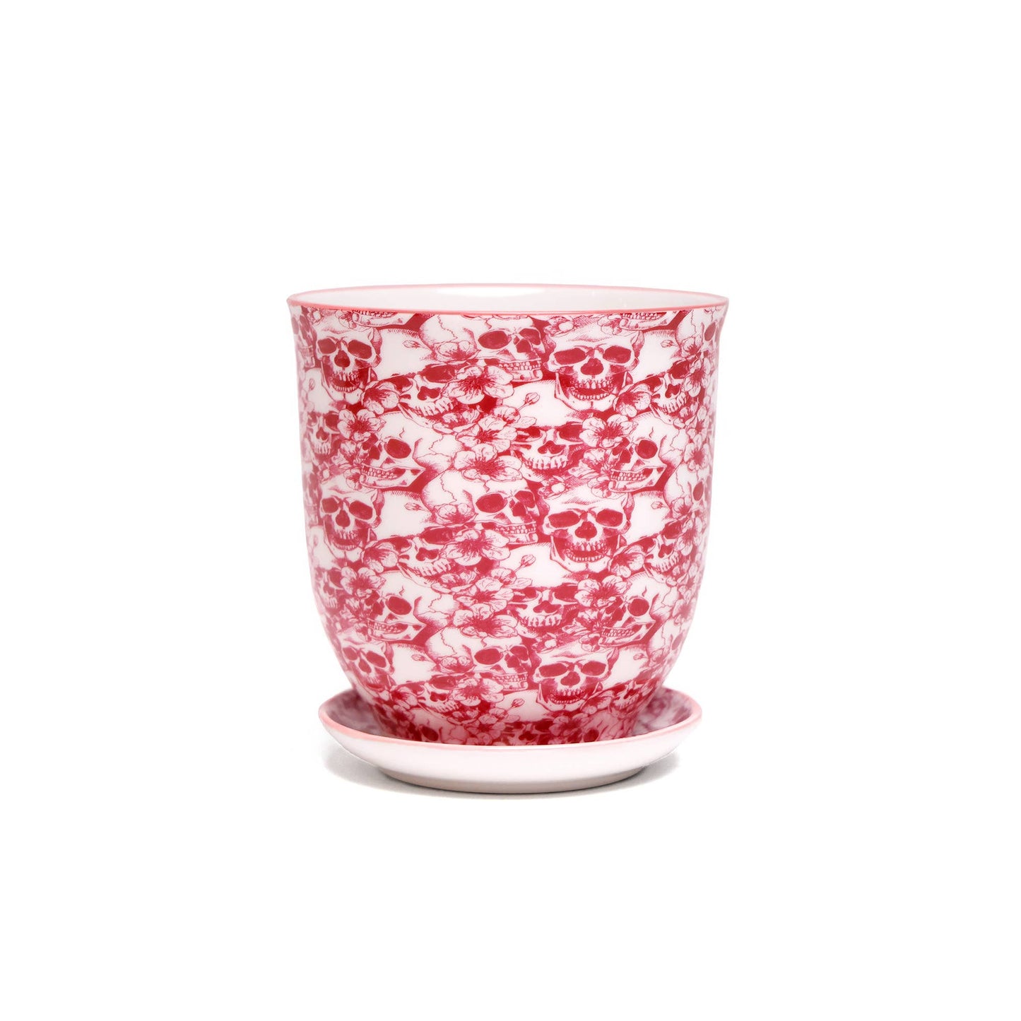 Liberte  Indoor plant pots with drainage 3 & 5 inch planter