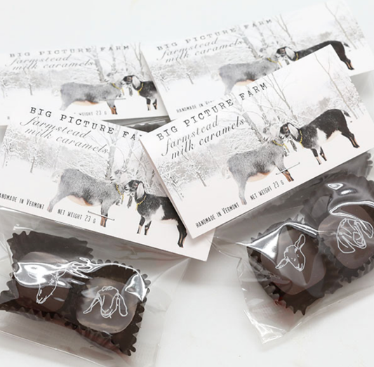 2 Piece Chocolate Covered Caramel Candy Gram