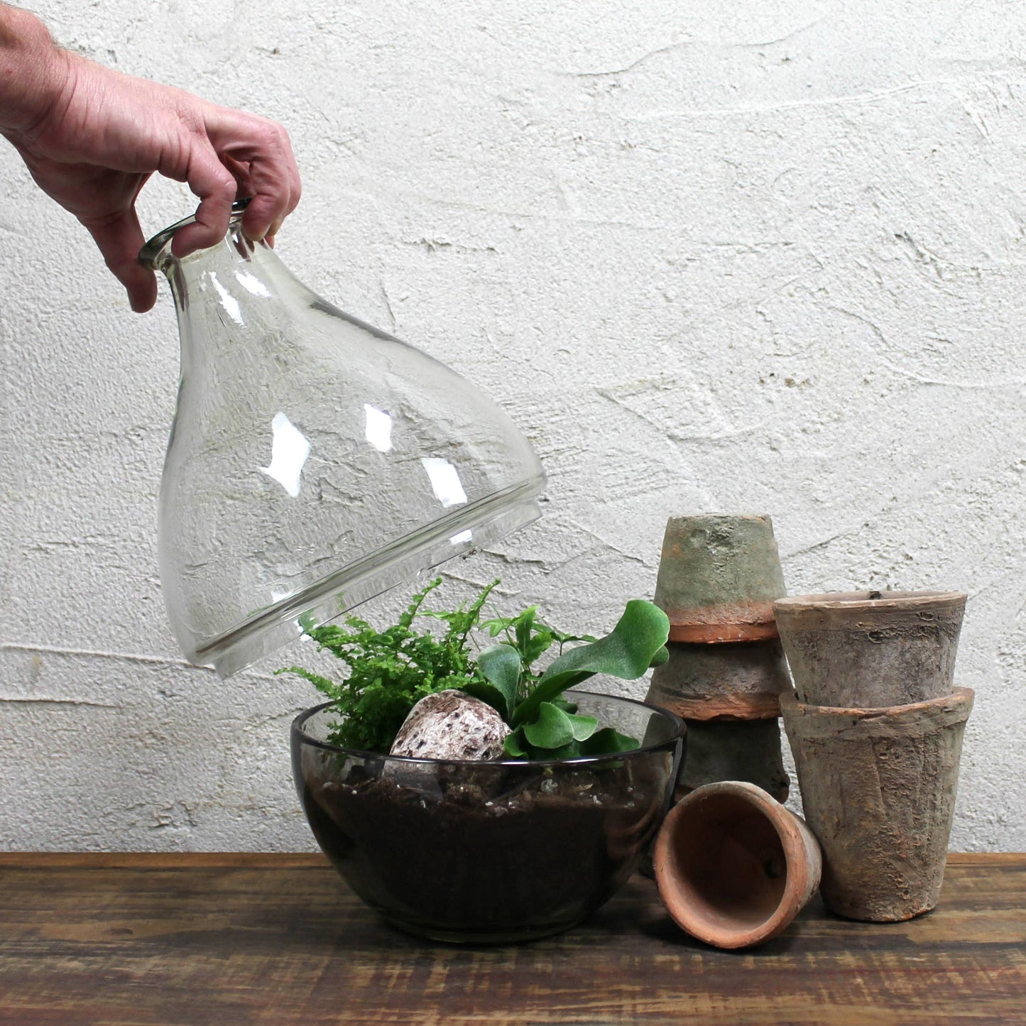 Terrarium, Glass