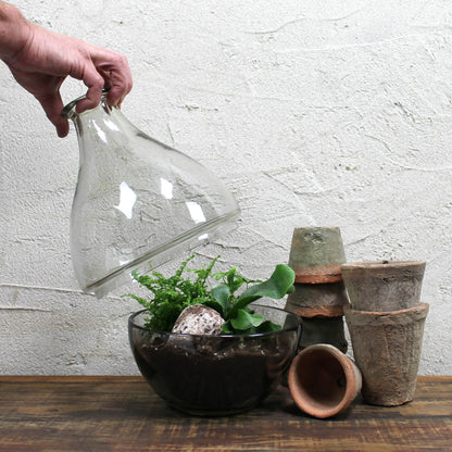 Terrarium, Glass