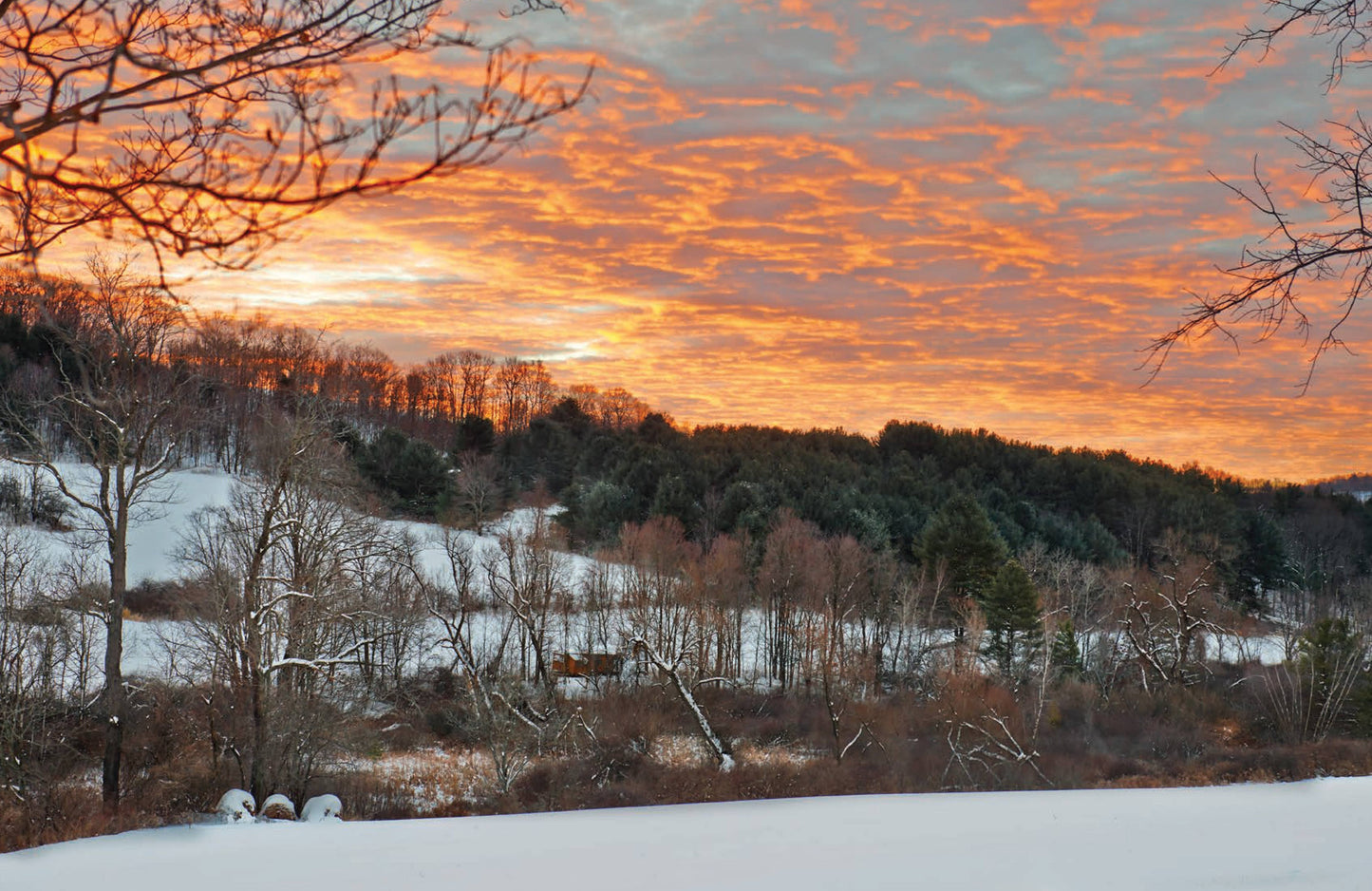 Upstate Now