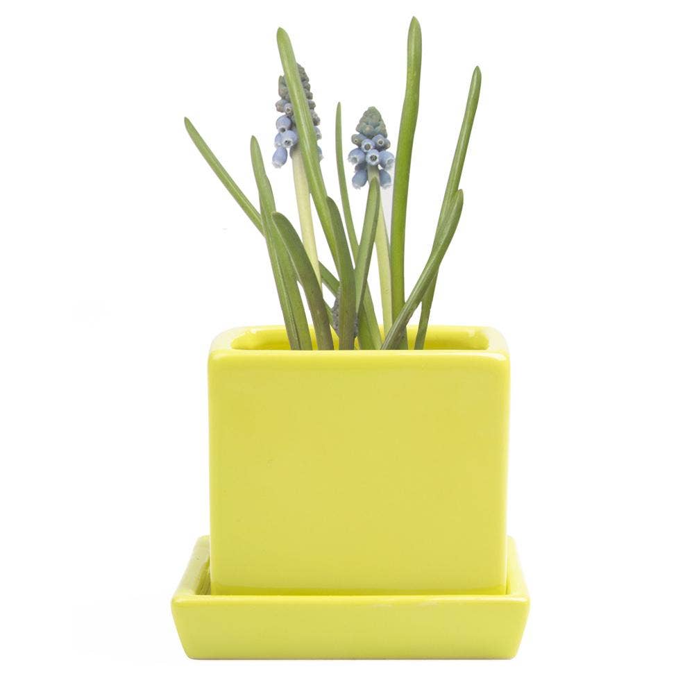 Cube Pot With Saucer And Drainage Hole 60 Plus Colors