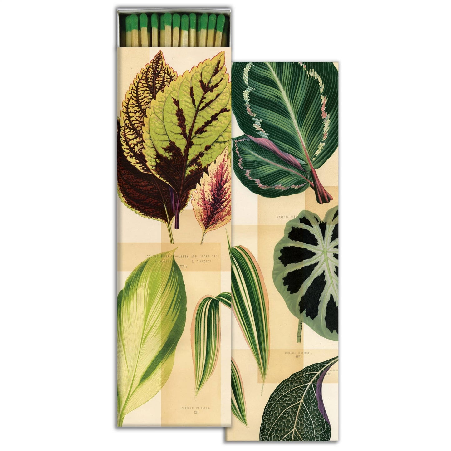 Long Matches