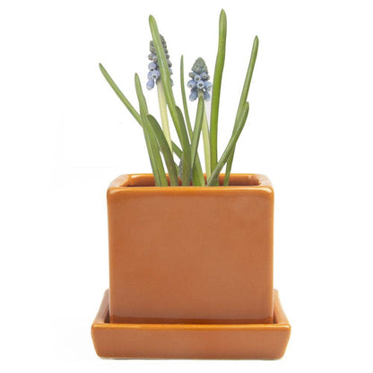 Cube Pot With Saucer And Drainage Hole 60 Plus Colors