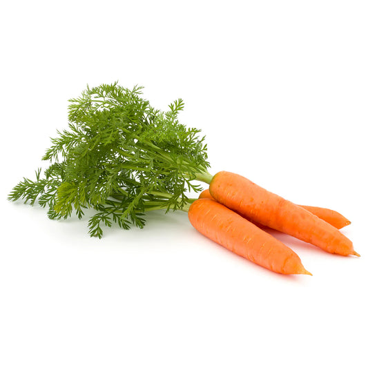 Carrot Nantes ( Heirloom- NON GMO) Seeds