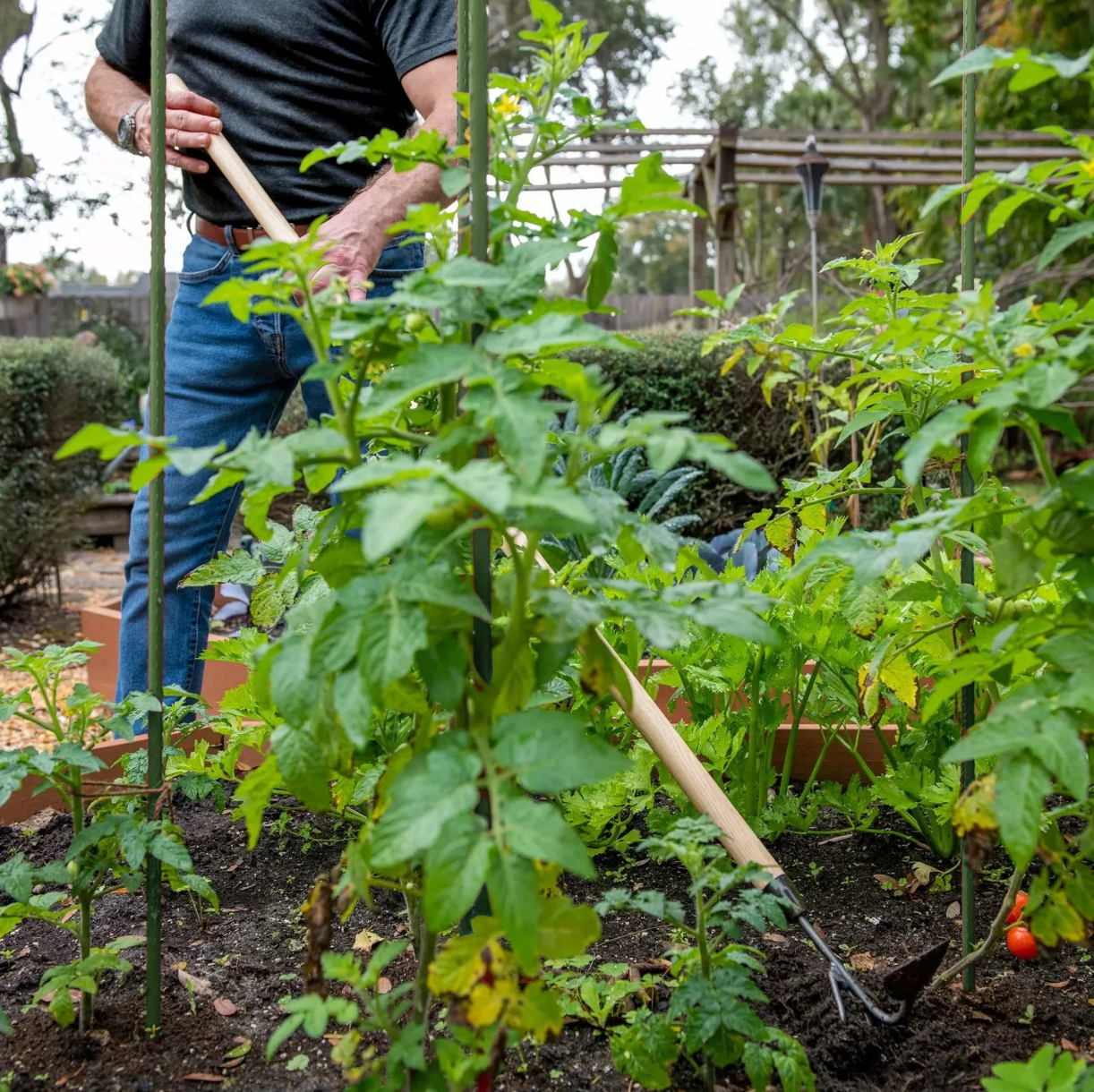 DeWit Comby Hoe – 3-Tine Cultivator & Half-Moon Hoe w/ Long Handle
