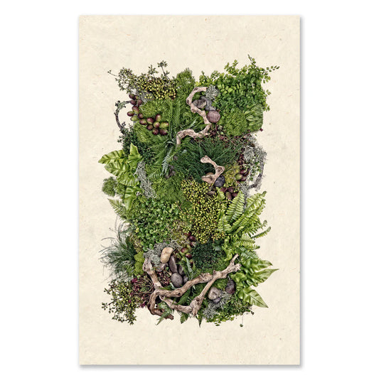 Forest Floor Framed Print - Barloga Studios