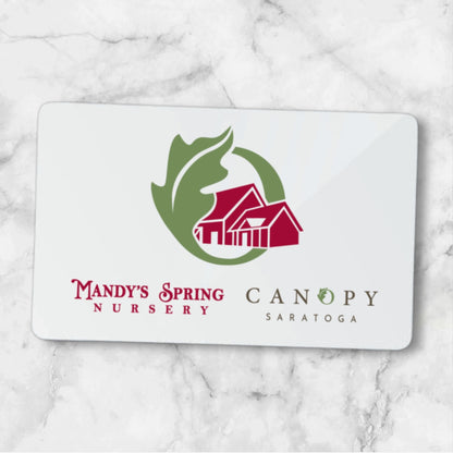 Mandy's Spring Nursery & Canopy Saratoga Gift Card