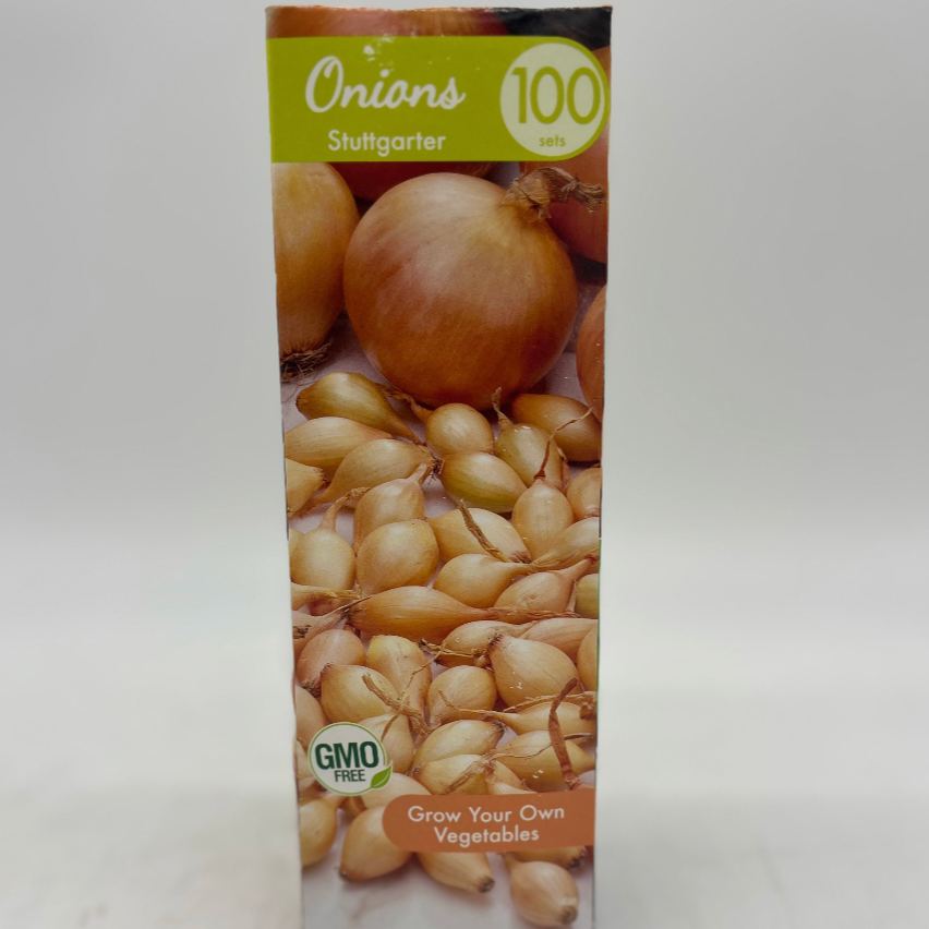 Onion - Stuttgarter Riesen | 100 Bulbs