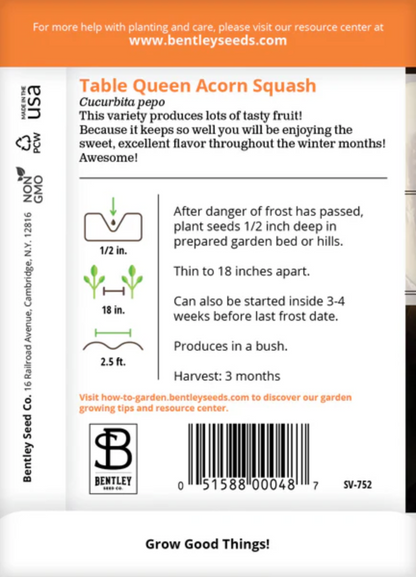 Squash 'Acorn' - Vegetable Seeds