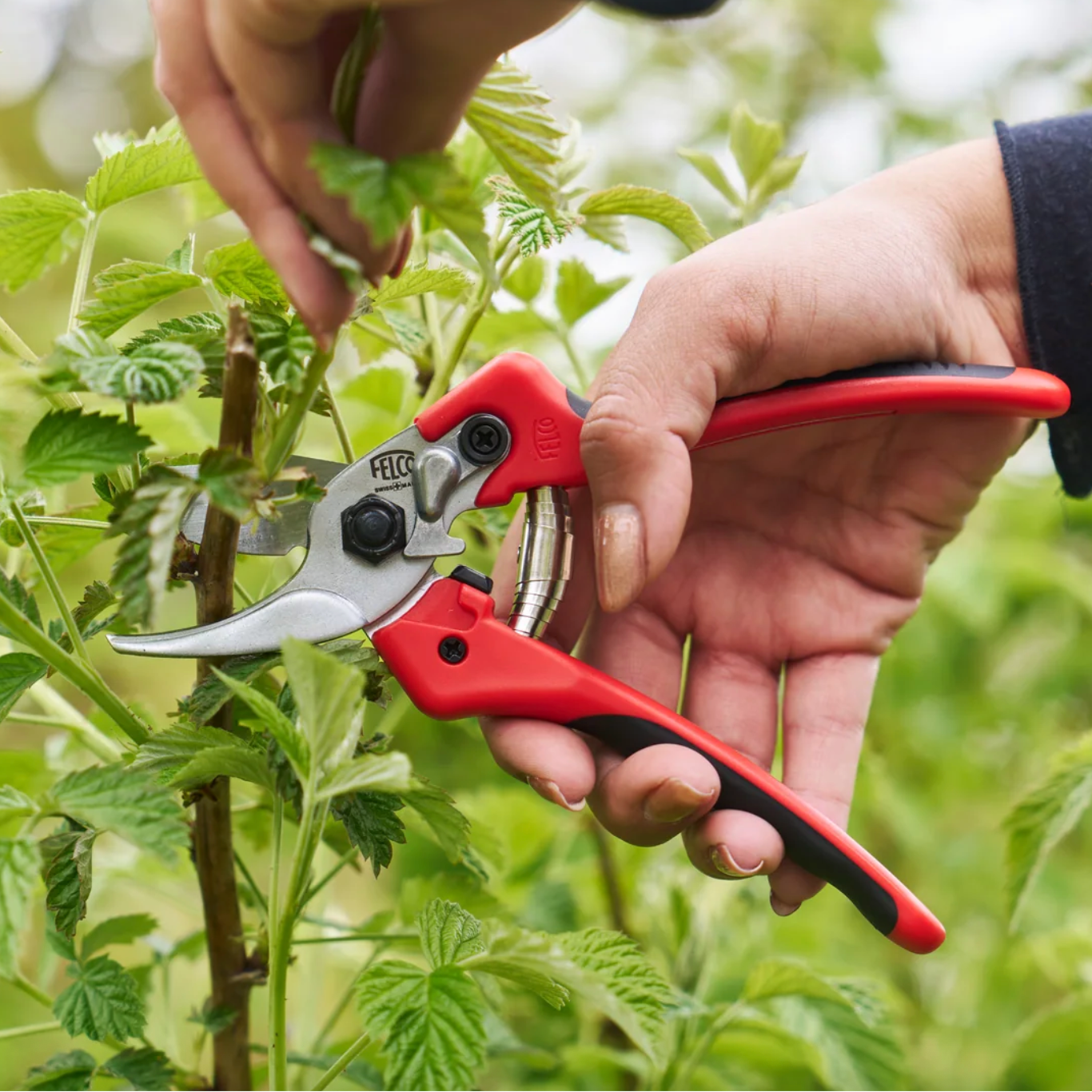 FELCO 171M - Medium Pruner