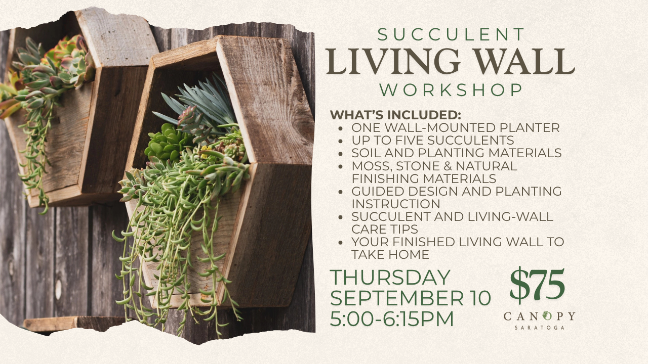 Succulent Living Wall Workshop — Thu Sept 10