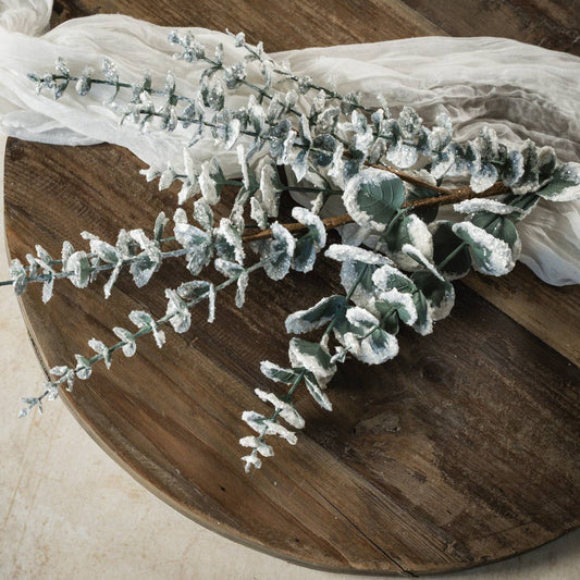 26" SNOWY EUCALYPTUS SPRAY