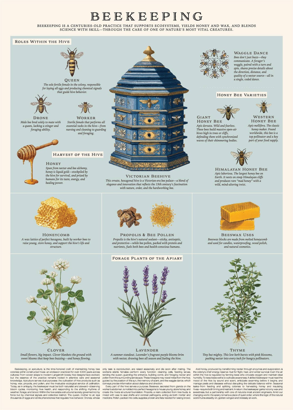 Vintage Posters Wrapping Paper - Beekeeping