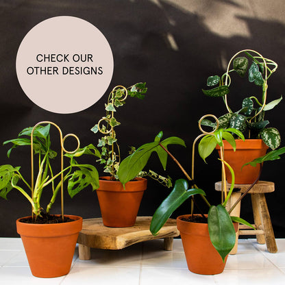 Perch Gold Mini Plant Stake from rust-proof metal