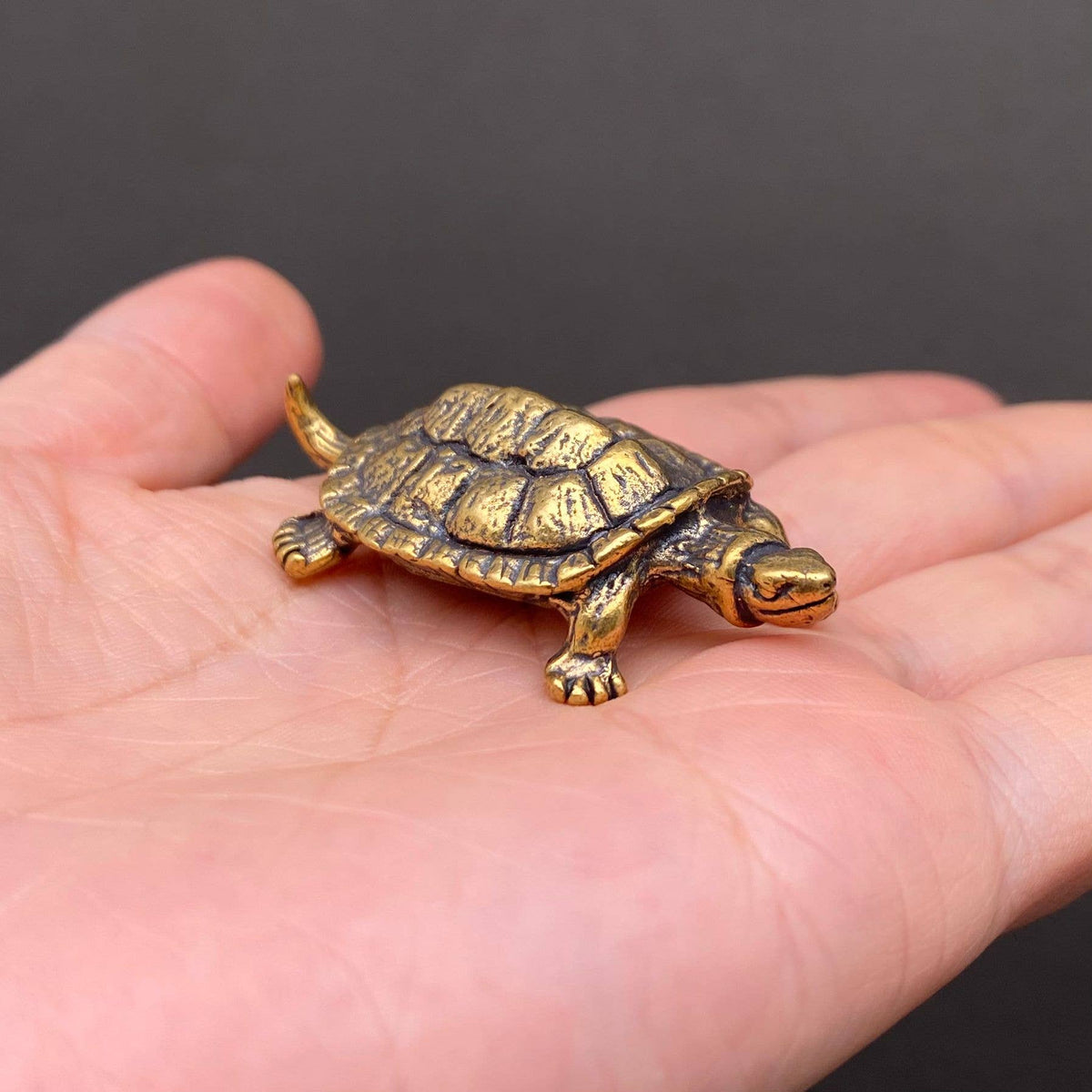 Brass Turtle Crafts Decoration Desktop Ornaments