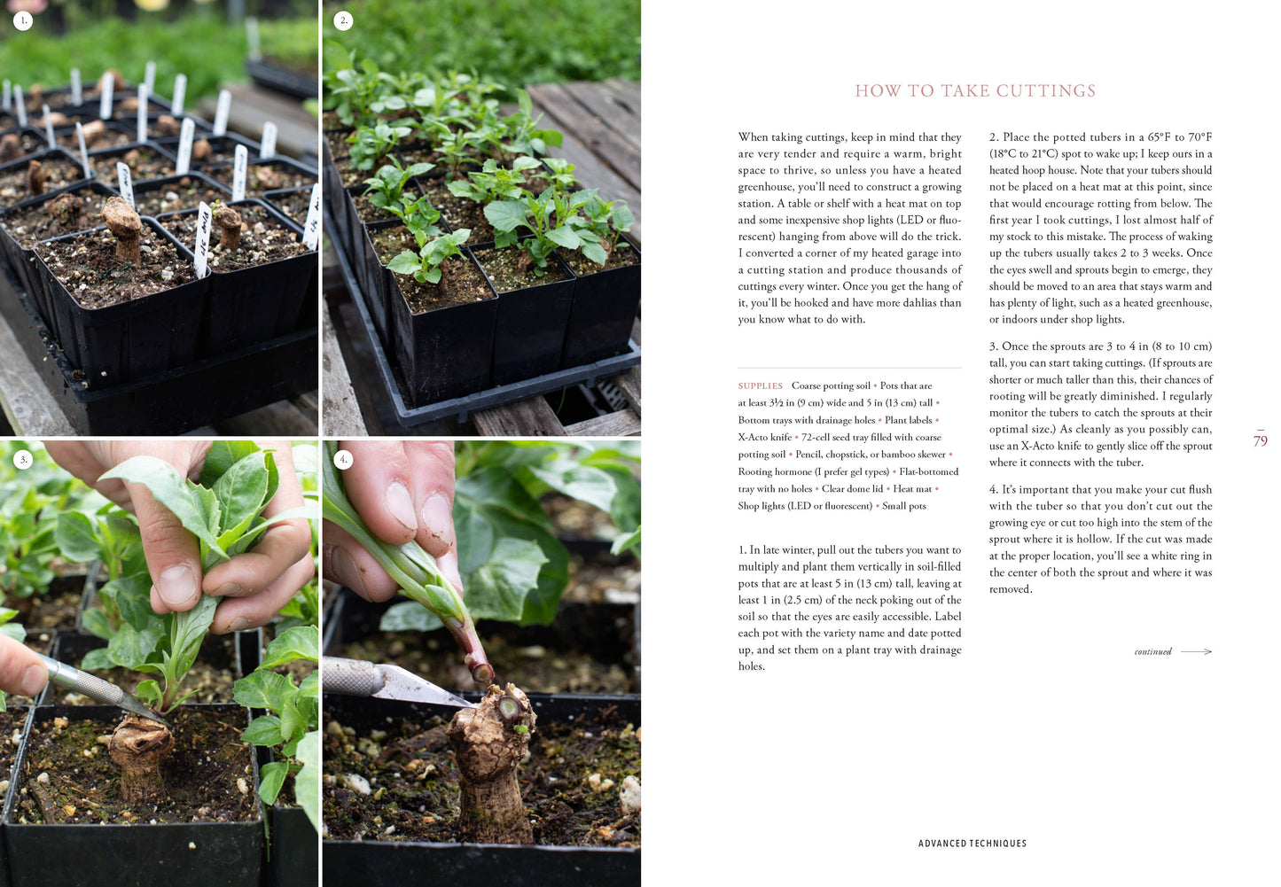 Floret Farm's Discovering Dahlias