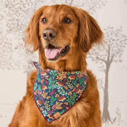 Hedgehog Hollow Dog Bandana