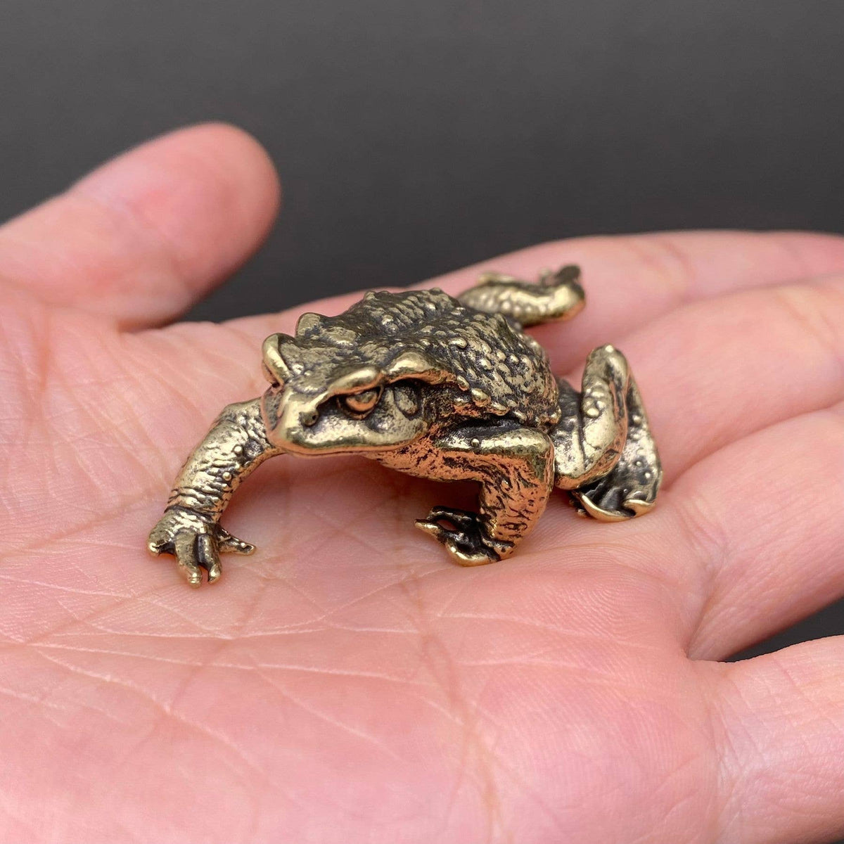 Toad Brass Crafts Decoration Desktop Ornaments