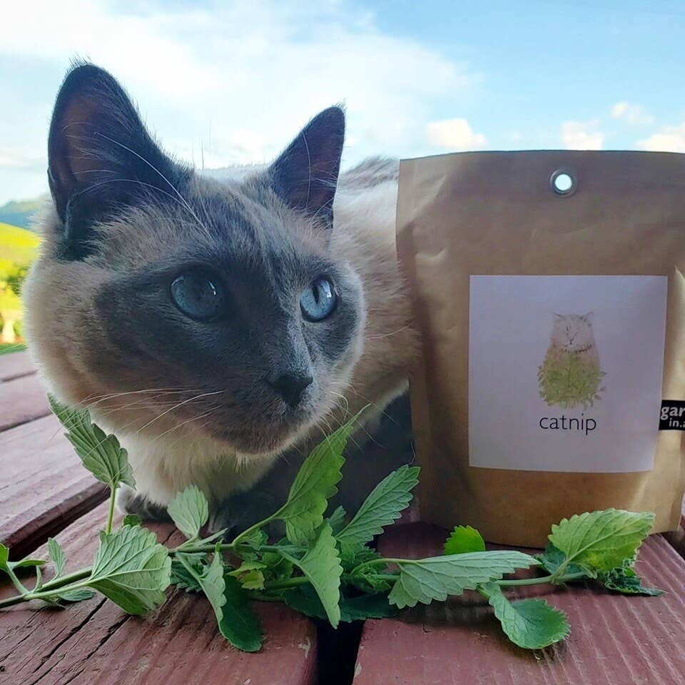 Garden Sprinkles Catnip | Organic Fall & Holiday Cat Treat