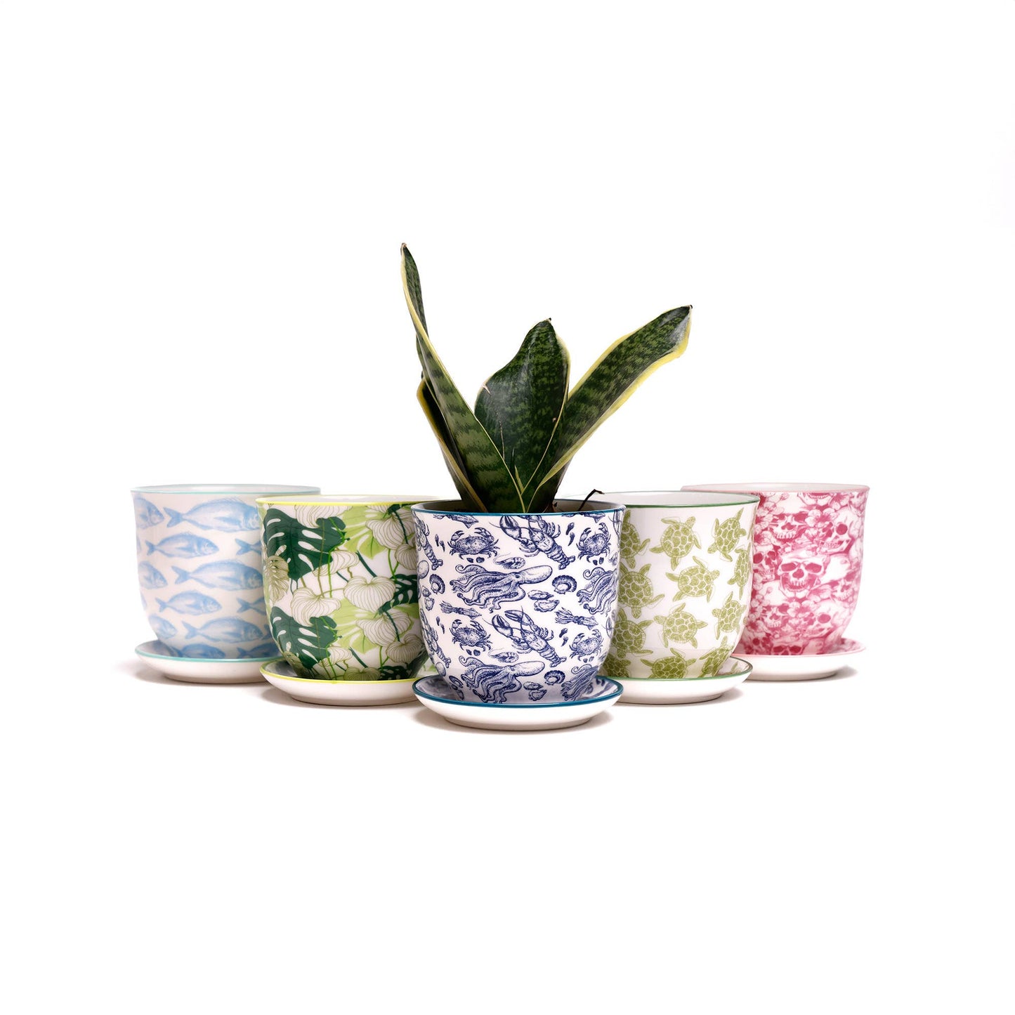 Liberte  Indoor plant pots with drainage 3 & 5 inch planter