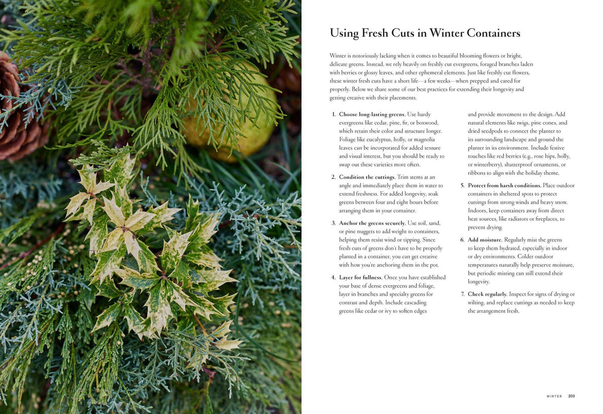 Terrain: The Container Garden Book