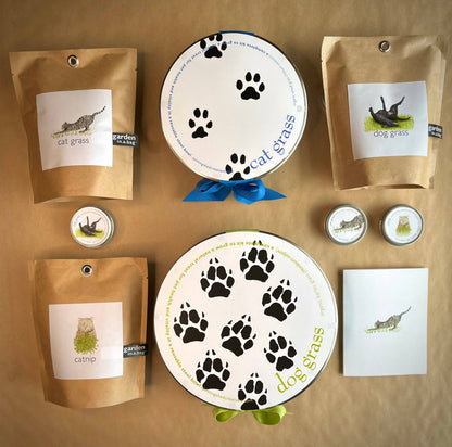 Garden in a Bag | Cat Grass | Spring Pet Treat Gift