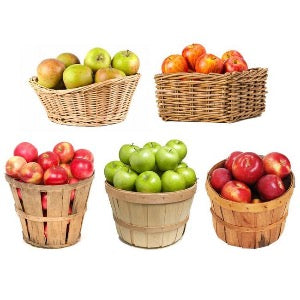 5n1 Apple | Malus domestica '5n1'